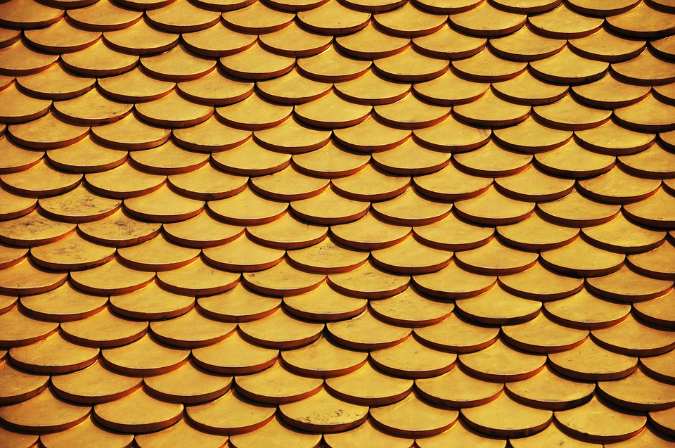 roof 3